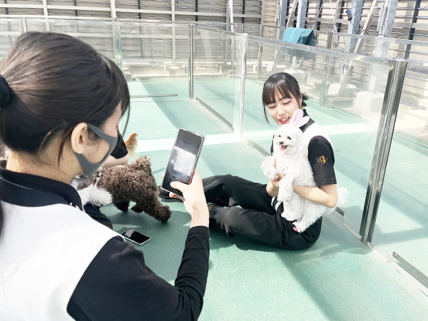 Wan活でお散歩♪